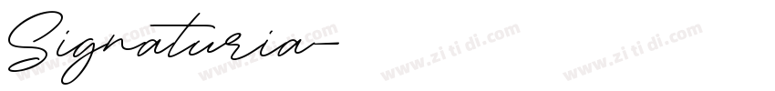 Signaturia字体转换