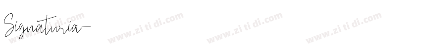 Signaturia字体转换