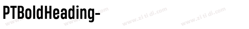 PTBoldHeading字体转换 PTBoldHeading字体转换