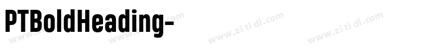 PTBoldHeading字体转换 PTBoldHeading字体转换