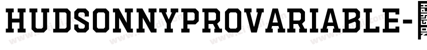 HudsonNYProVariable字体转换