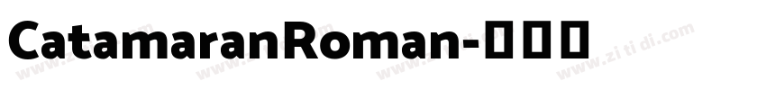 CatamaranRoman字体转换