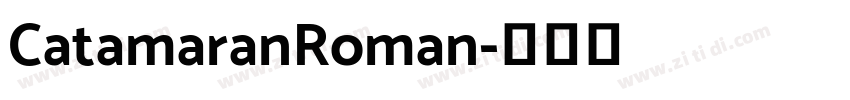 CatamaranRoman字体转换