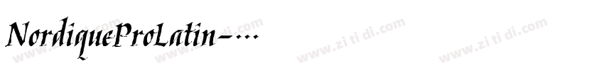 NordiqueProLatin字体转换