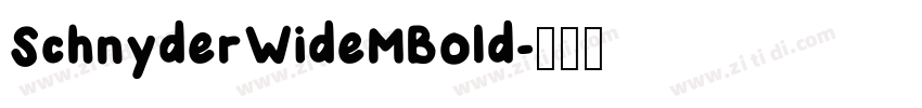 SchnyderWideMBold字体转换