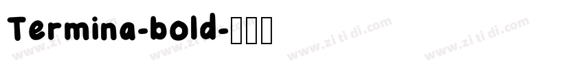 Termina-bold字体转换