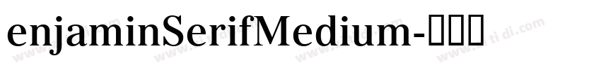 enjaminSerifMedium字体转换 enjaminSerifMedium字体转换