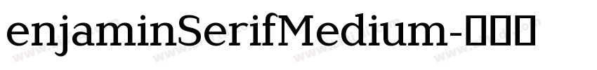 enjaminSerifMedium字体转换 enjaminSerifMedium字体转换