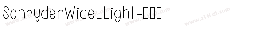 SchnyderWideLLight字体转换
