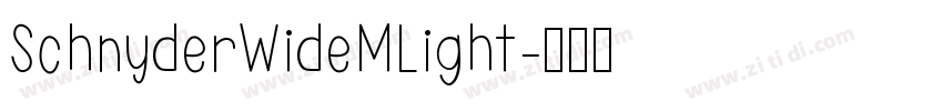 SchnyderWideMLight字体转换