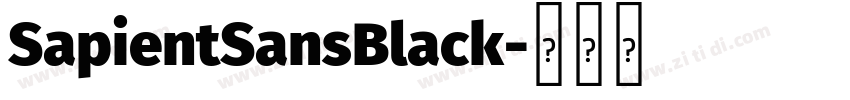 SapientSansBlack字体转换