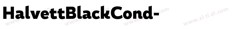 HalvettBlackCond字体转换