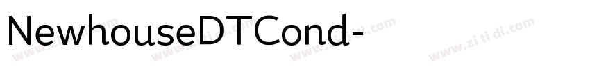 NewhouseDTCond字体转换