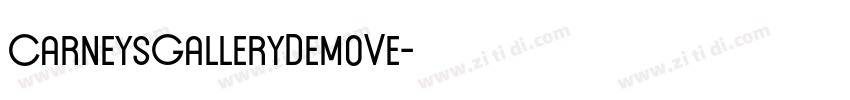 CarneysGalleryDemoVe字体转换