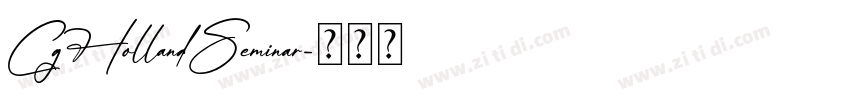 CgHollandSeminar字体转换