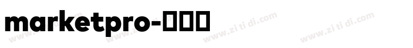 marketpro字体转换