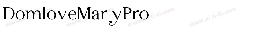 DomloveMaryPro字体转换
