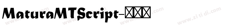 MaturaMTScript字体转换