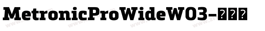 MetronicProWideW03字体转换