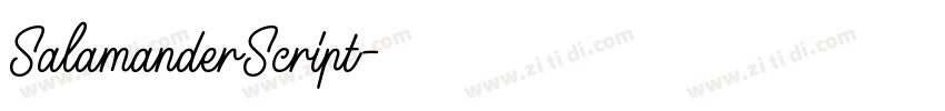 SalamanderScript字体转换