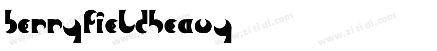 BerryfieldHeavy字体转换