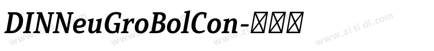 DINNeuGroBolCon字体转换