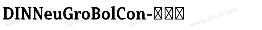 DINNeuGroBolCon字体转换 DINNeuGroBolCon字体转换