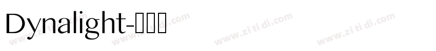 Dynalight字体转换