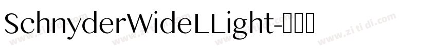 SchnyderWideLLight字体转换