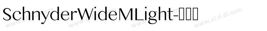 SchnyderWideMLight字体转换