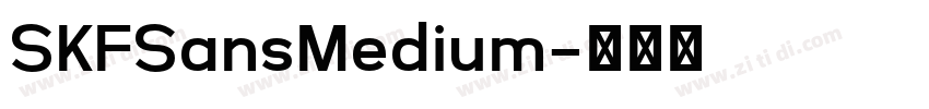 SKFSansMedium字体转换