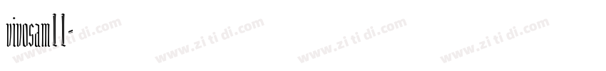 vivosam11字体转换