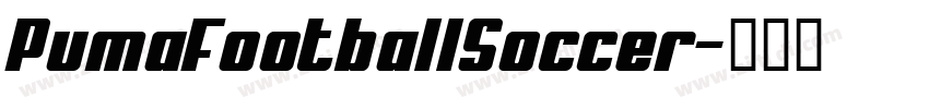 PumaFootballSoccer字体转换
