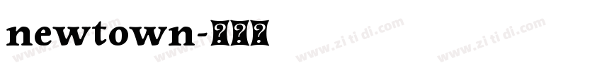 newtown字体转换