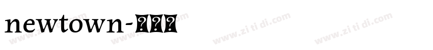 newtown字体转换