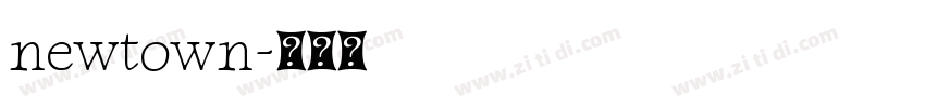newtown字体转换