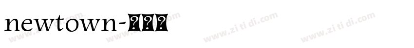 newtown字体转换