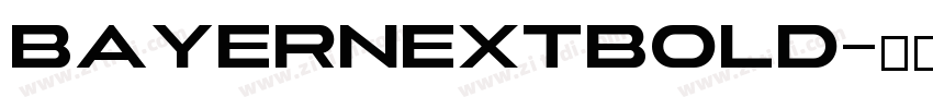 BayerNextBold字体转换