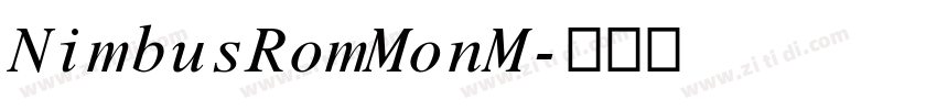 NimbusRomMonM字体转换