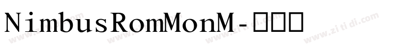 NimbusRomMonM字体转换