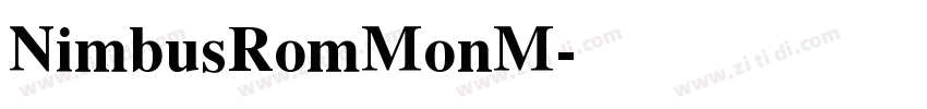 NimbusRomMonM字体转换