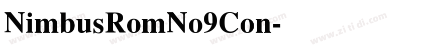 NimbusRomNo9Con字体转换