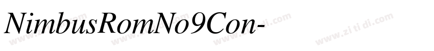 NimbusRomNo9Con字体转换