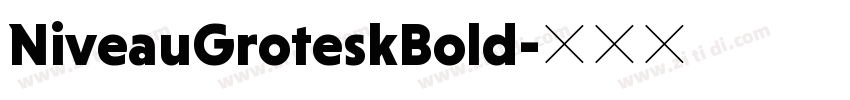NiveauGroteskBold字体转换
