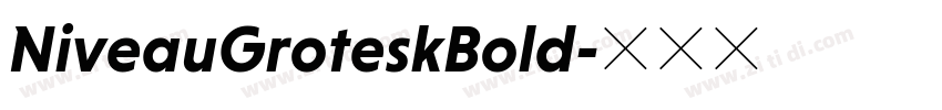 NiveauGroteskBold字体转换