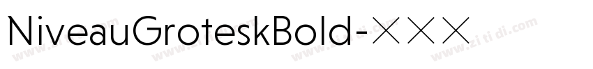 NiveauGroteskBold字体转换