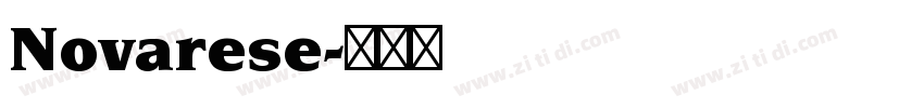Novarese字体转换