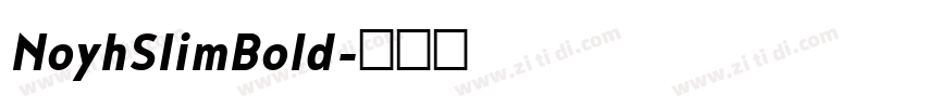 NoyhSlimBold字体转换