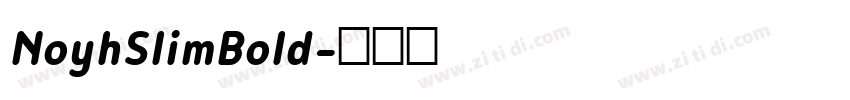 NoyhSlimBold字体转换