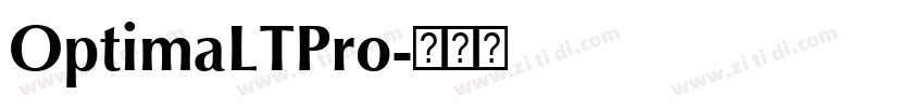 OptimaLTPro字体转换